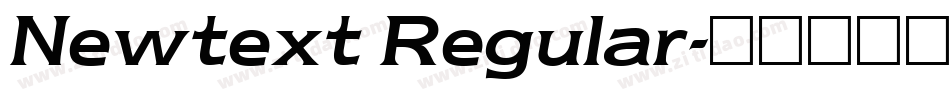 Newtext Regular字体转换